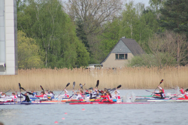 Regatta Brandenburg 2013